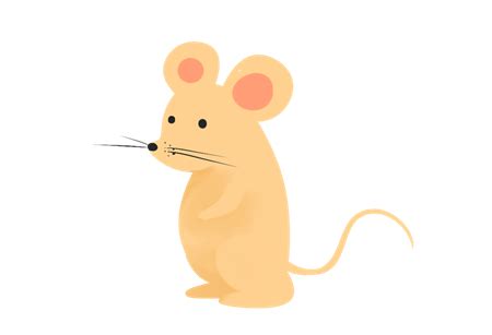 老鼠吱吱叫 考運祝福